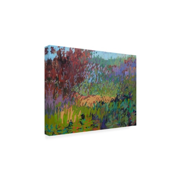 Jane Schmidt 'Color Field No. 72' Canvas Art,18x24